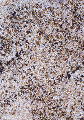 Background with toasted sesame seeds top view