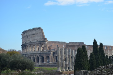 Fototapeta na wymiar The Colesseum - Rome
