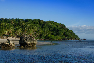 Fototapeta na wymiar Beach with rocks and palm trees
