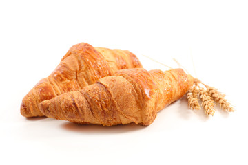 fresh croissant on white background
