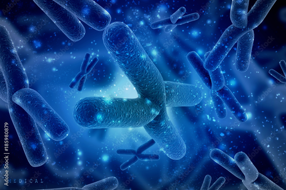 Wall mural 3d rendering chromosomes