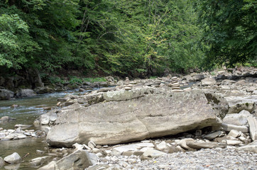 River Wetlina in Bieszczady National Park. Sine wiry. © Jarek