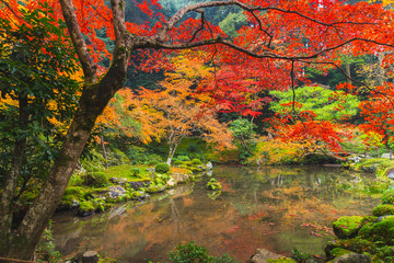 Kyoto Autumn Coloful Season Red Maple Leaf Garden at Nanzen-ji Temple Kansai Travel Japan.