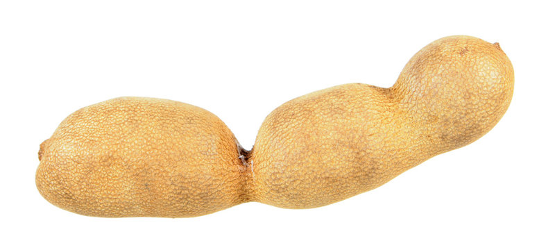 Raw tamarind fruit isolated on white background