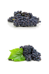 ripe dark grapes on a white background