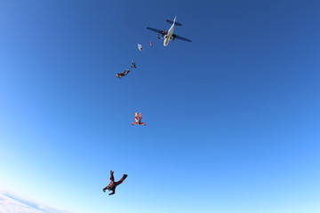Naklejka na ściany i meble The group of skydivers in the sky.