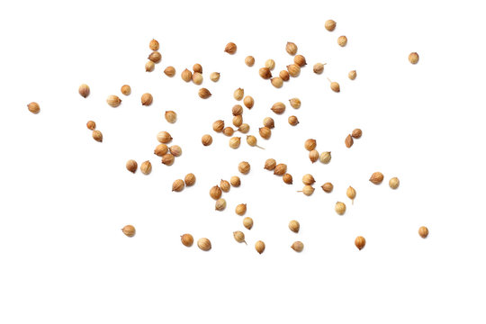 coriander seeds isolated on white background