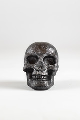 Teschio su sfondo bianco