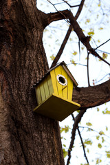 yellow bird house