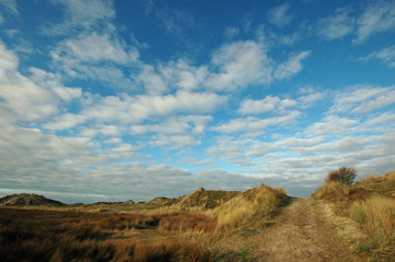 dünen auf der der insel texel