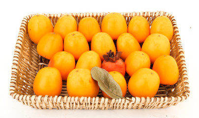 persimmon