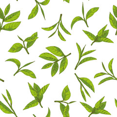 seamless pattern with green tea, hand-drawn leaves and branches of tea - 185989868