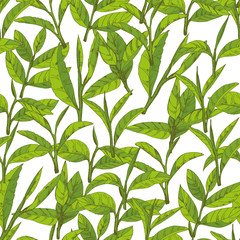 seamless pattern with green tea, hand-drawn leaves and branches of tea