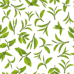 seamless pattern with green tea, hand-drawn leaves and branches of tea - 185990451