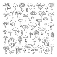 Set of vector hand-drawn, doodles mushrooms. Vector illustration for your cute design.