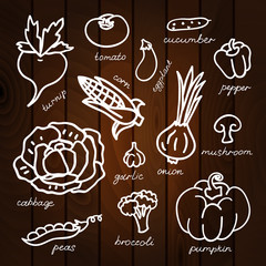 Set of vegetables vector illustration on wood background. Beautiful vector design.