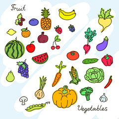 Collection of various fruits and vegetables. EPS 10