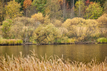 Beautiful autumn landscape and small lake