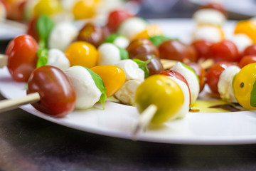 Tomato mozzarella sticks with basil on a plate