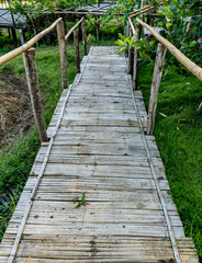 Bamboo footbridge