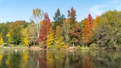 Ataturk Arboretum botanic park on Autumn, Istanbul