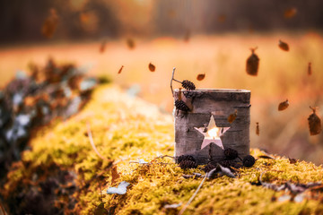 Herbstlicht