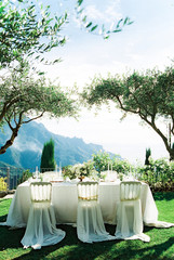 Wedding dining table in garden underneath olive trees