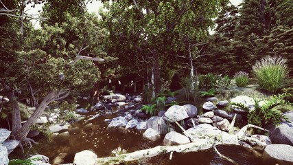 a river in the forest