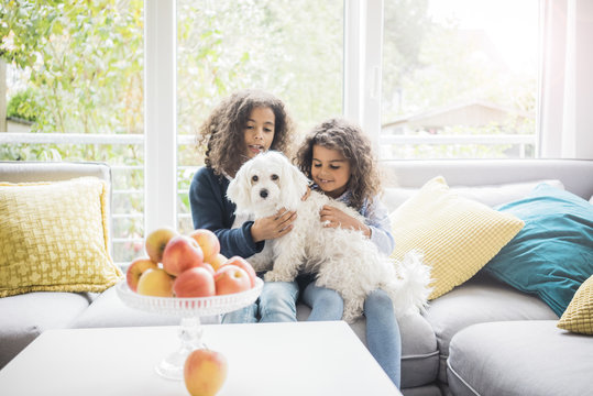 Sisters sitting on couch, petting little whit dog