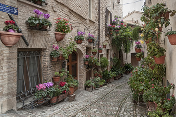 Fototapeta na wymiar Spectacular colorful traditional italian medieval alley in the historic center of beautiful little town of Spello (Perugia), in Umbria region - central Italy