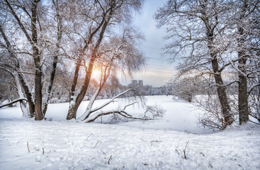 Зима в городском парке Winter in the city park