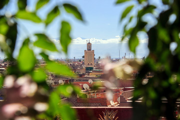 cityscape of buildings in Marrakech