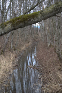 Ilder Bachlauf