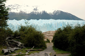 Calafate Argentina