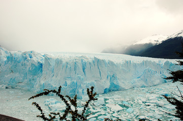 Calafate Glaciar Argentina
