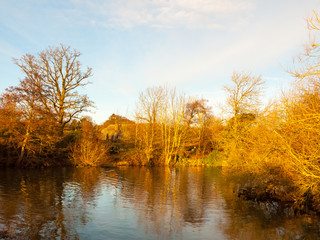beautiful autumn lake scene sunset light golden on trees sky space open water