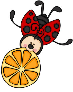 Ladybird flying with a slice of orange