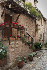 Spectacular colorful traditional italian medieval alley in the historic center of beautiful little town of Spello (Perugia), in Umbria region -  central Italy