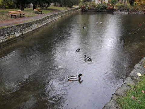 Jardin botannique de l'arquebuse de Dijon