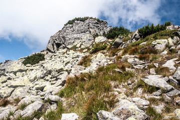 Fototapeta na wymiar Nizna Magura peak on Otrhance mountain ridge in Western Tatras mountains in Slovakia