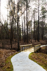 a forest walking path through the forest with a wooden bridge