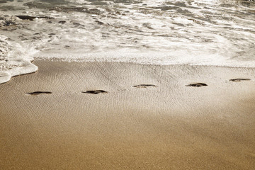 path of footprints in the sand on the shore of a beach
