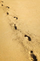 path of footprints in the sand on the shore of a beach
