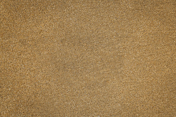 virgin sand bottom of an exotic sunny beach for publicity
