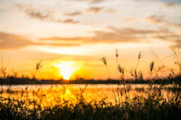 sunset on the lake landscape