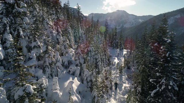 Snowshoeing Aerial in Fresh Powder Snow on Sunny Winter Day