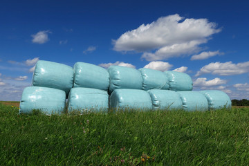 Landwirtschaft, verpackte Heuballen