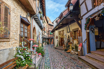 Partially wooden traditional architectural family of Alsace hous