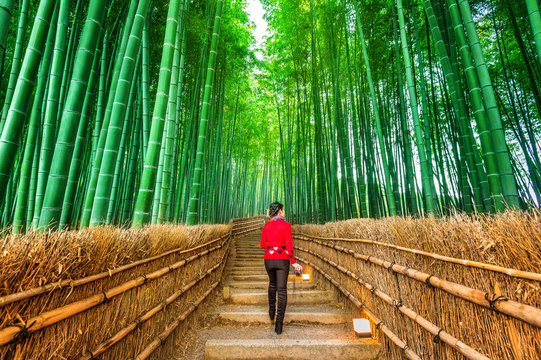 Woman walking at Bamboo Forest in Kyoto, Japan.