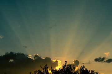 Sol.